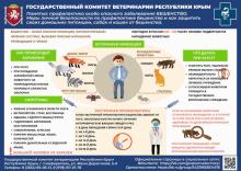 Памятка:профилактика особо опасного заболевания Бешенство